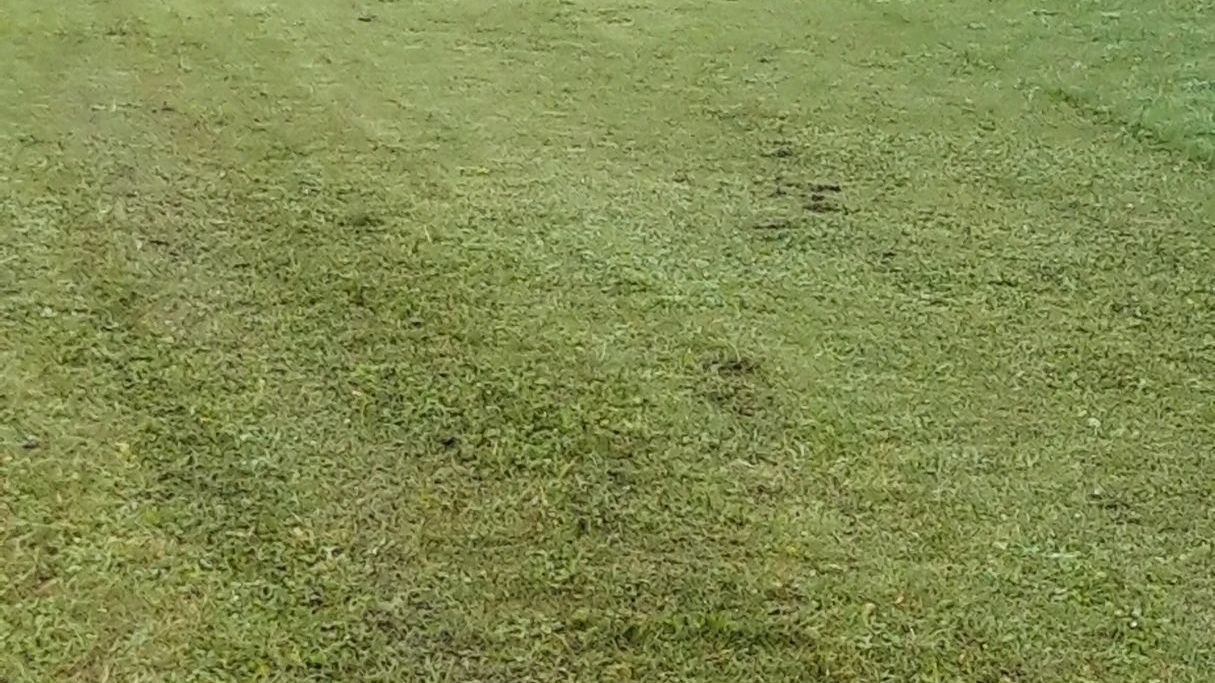 Golfclub zu Gut Ludwigsberg