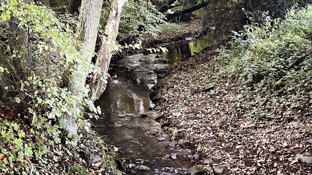 GC Bergisch Land Wuppertal