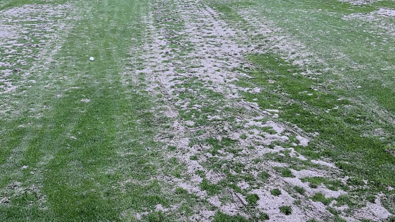 GCC Elfrather Mühle