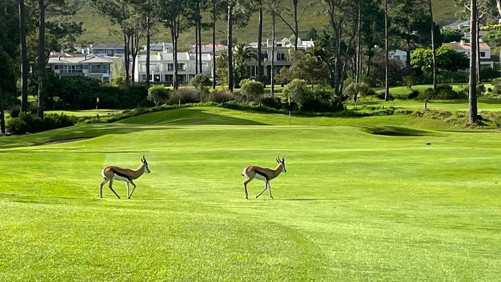 Hermanus Golf Club