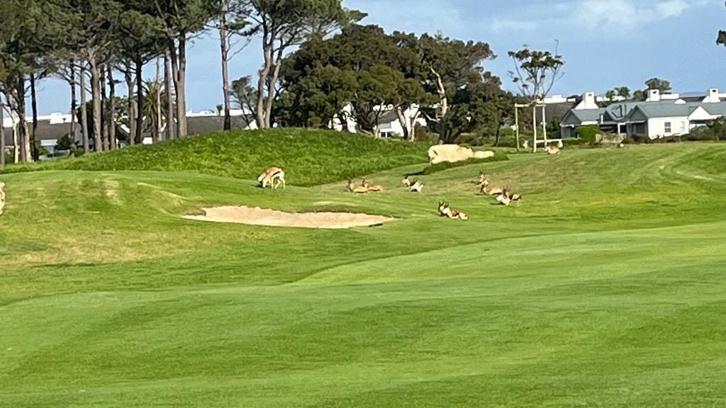 Hermanus Golf Club