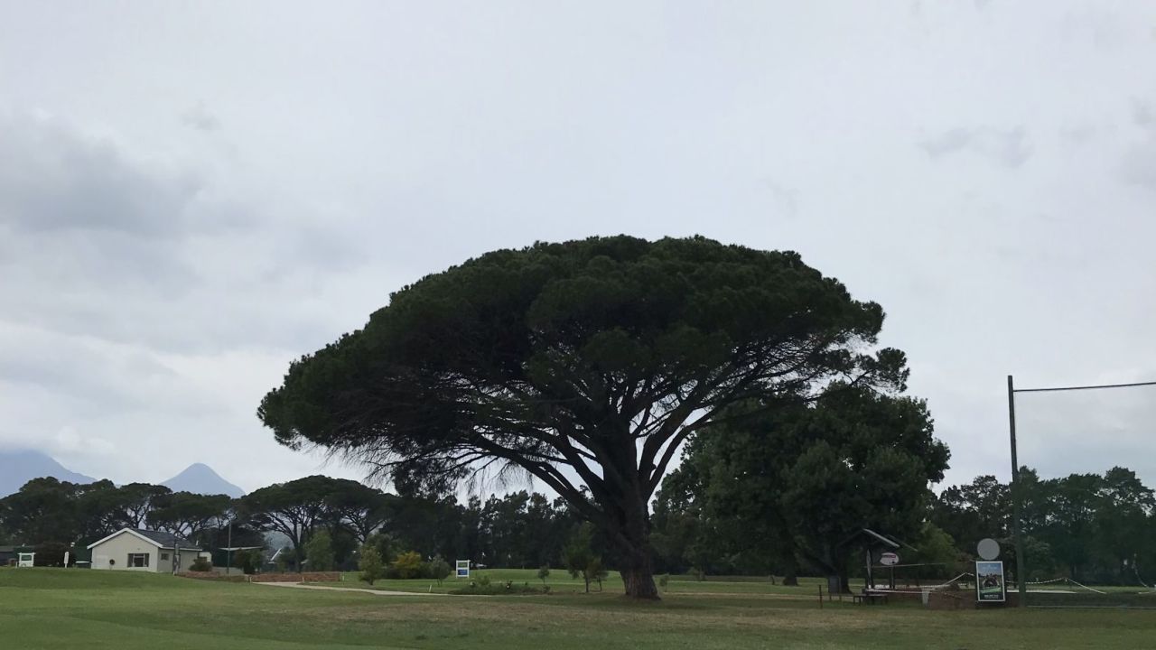 Somerset West Golf Club