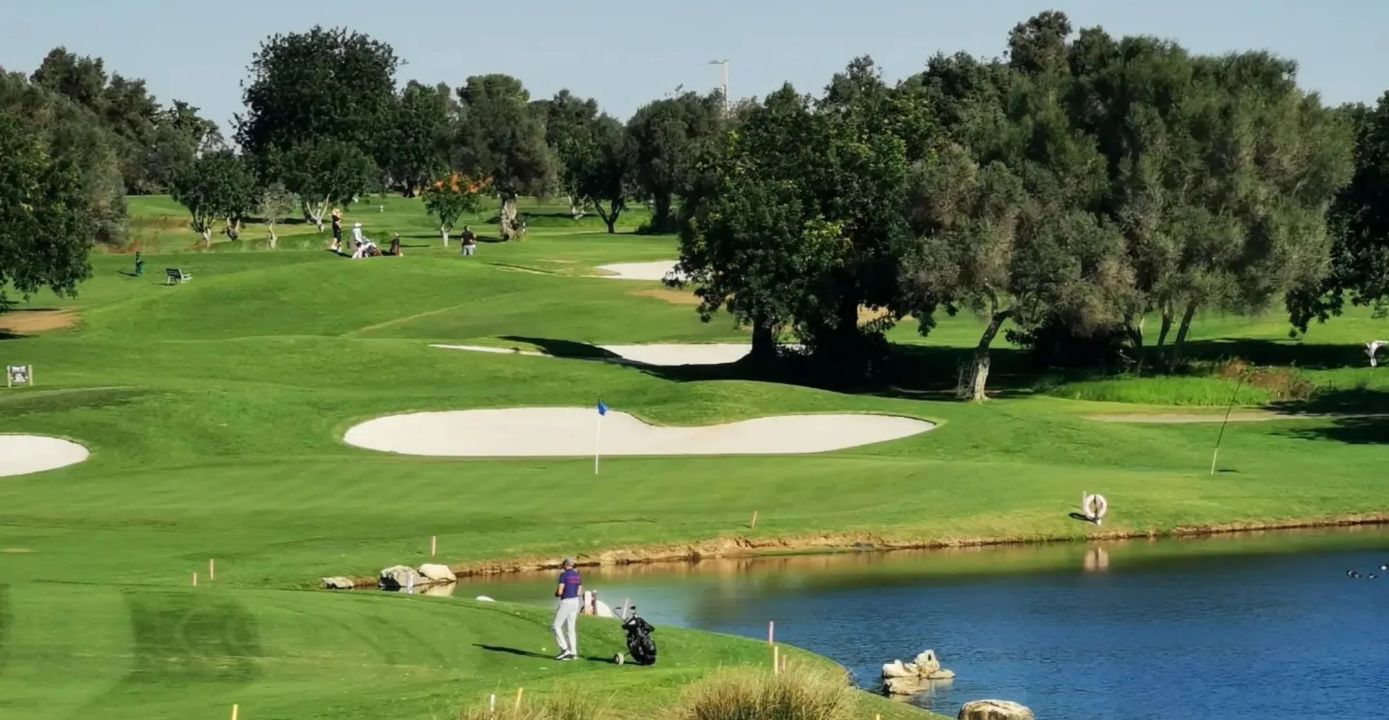 Quinta da Ria/Quinta de Cima