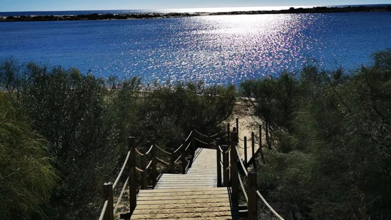 Quinta da Ria/Quinta de Cima