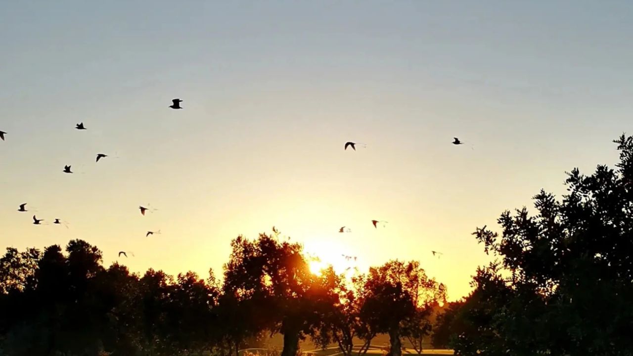 Quinta da Ria/Quinta de Cima