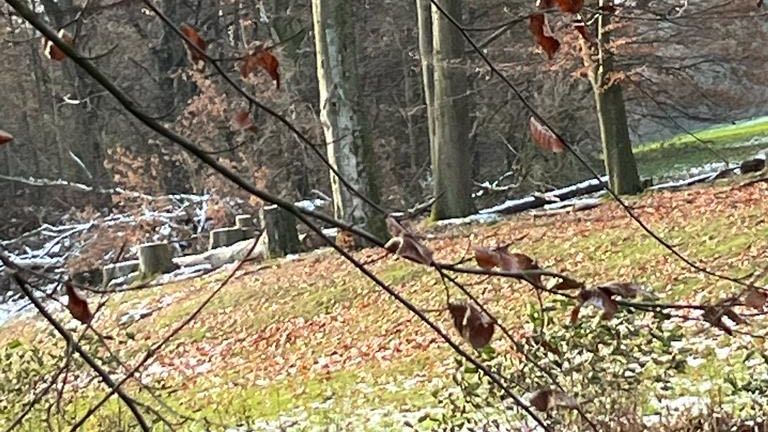 GC Bergisch Land Wuppertal