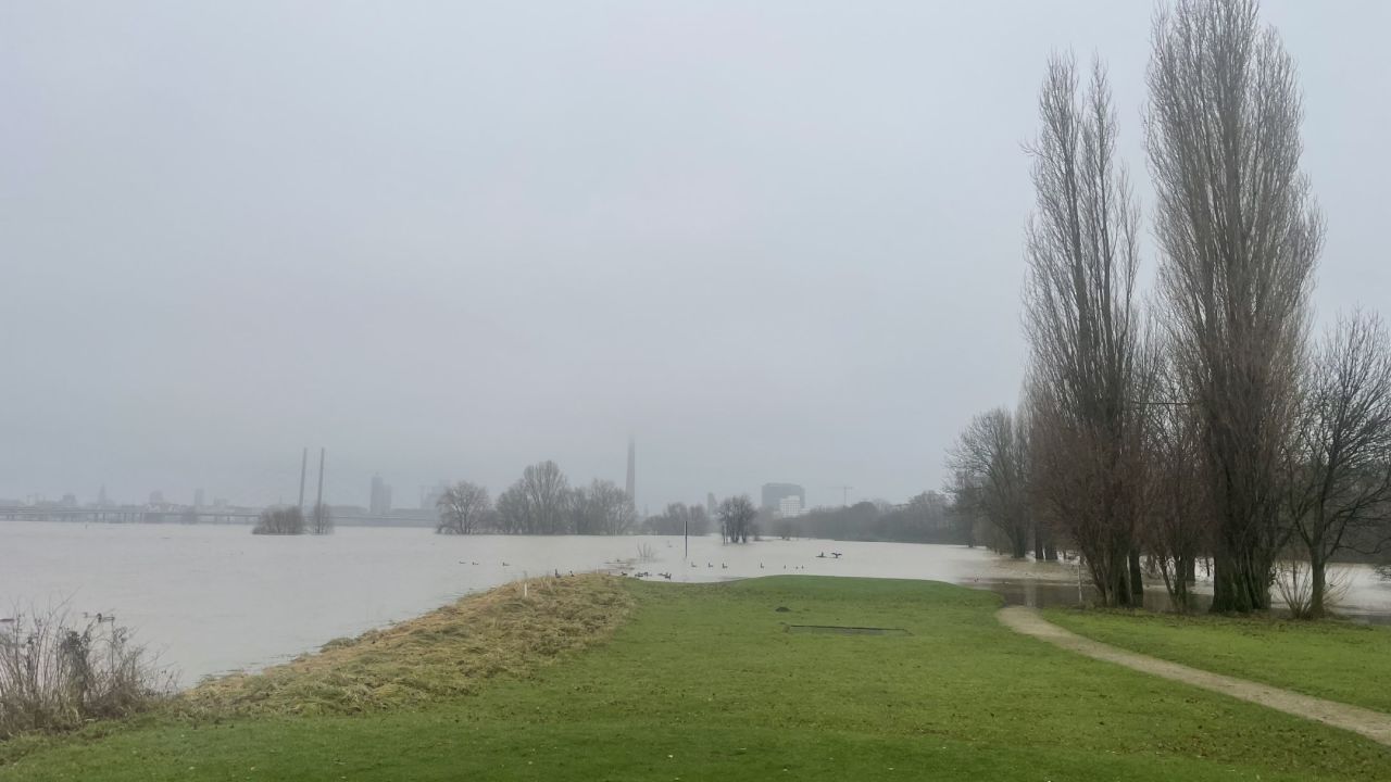 GSV Düsseldorf Lausward