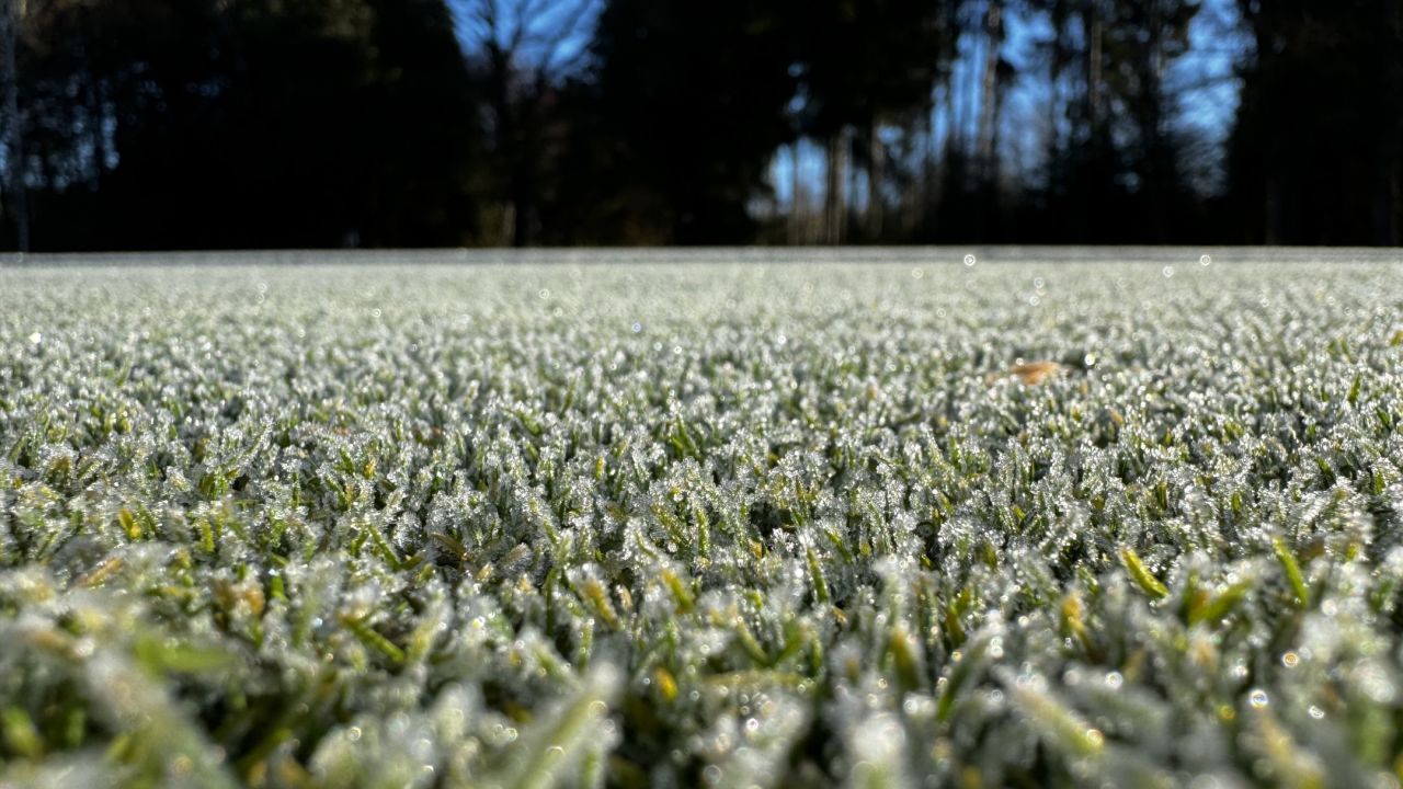 GC Schloss Klingenburg