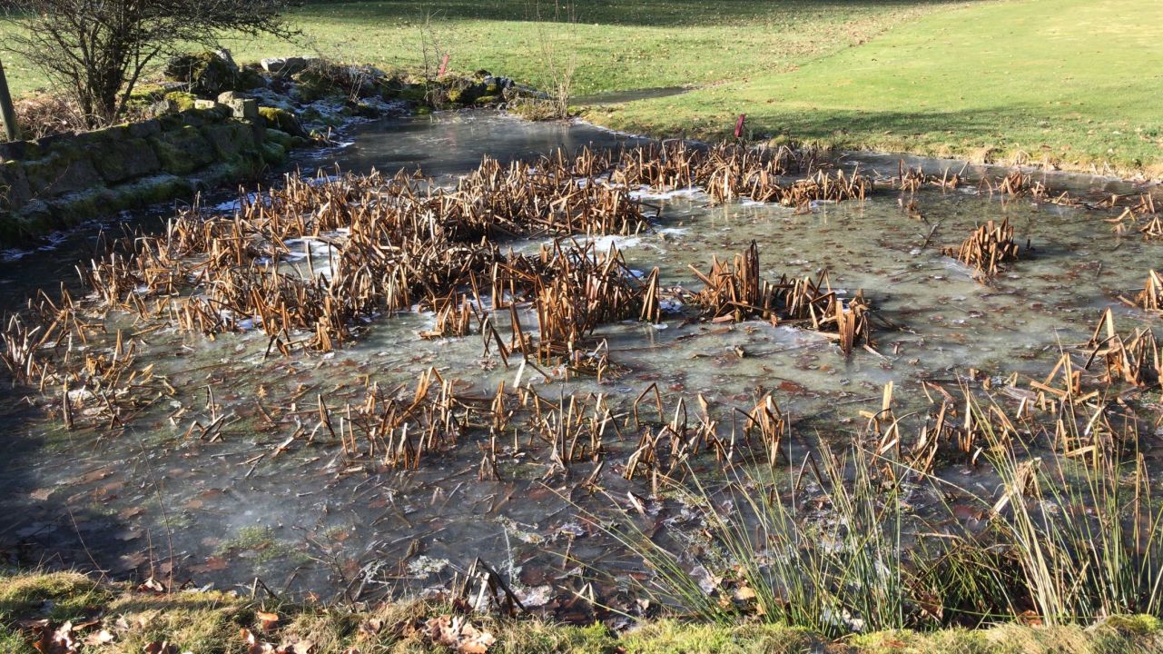 GC Gerhelm Nürnberger Land