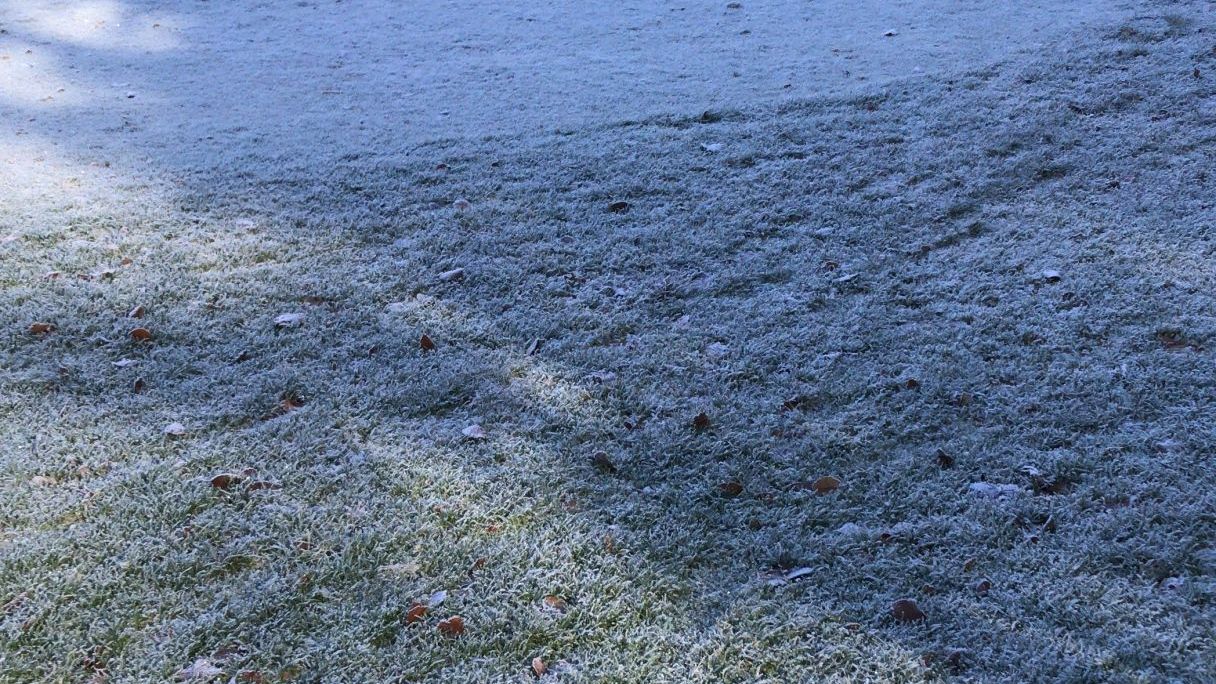 GC Gerhelm Nürnberger Land