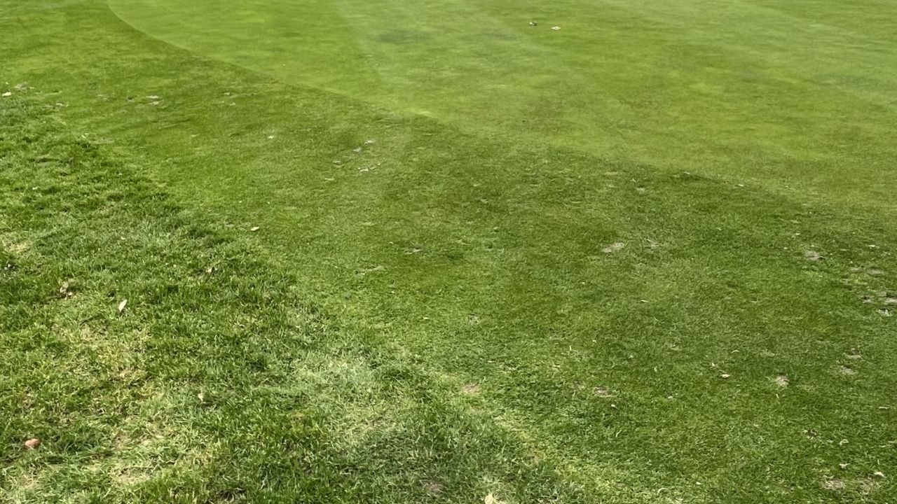 GCC Elfrather Mühle