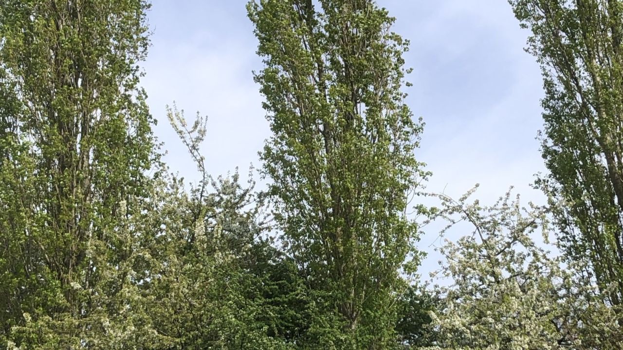 Golf & Country Club Velderhof