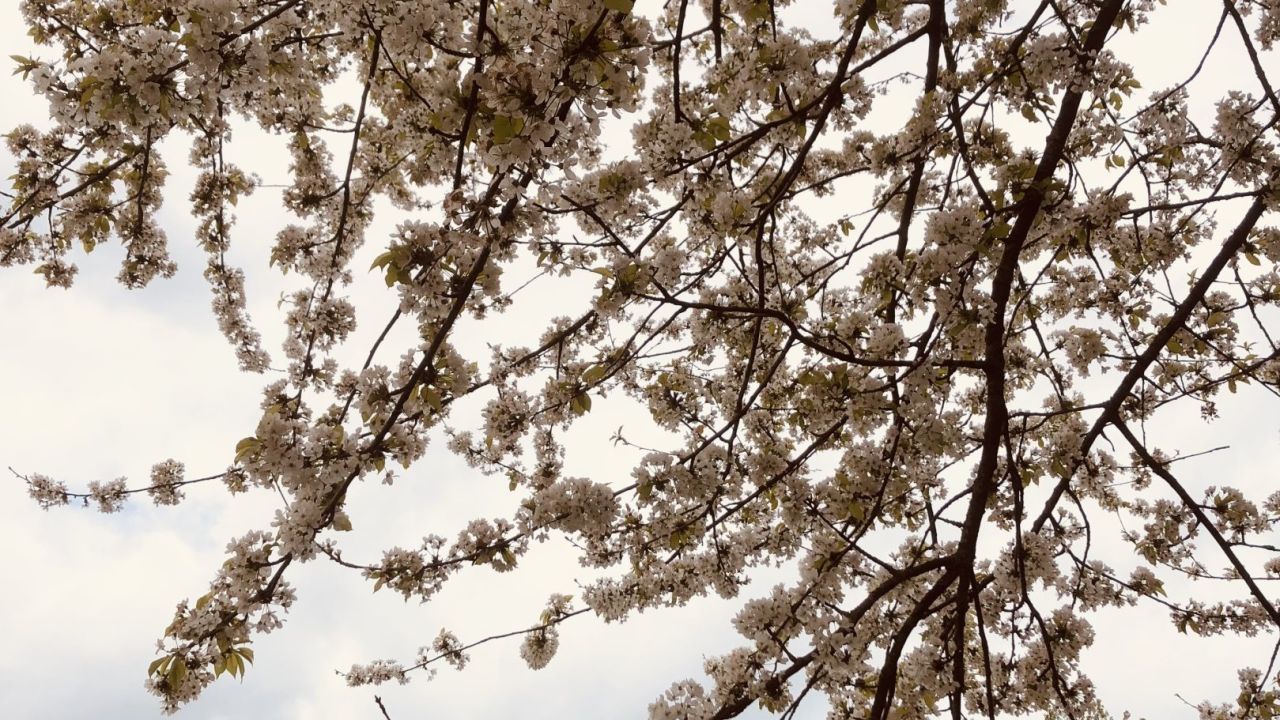 Golf & Country Club Velderhof