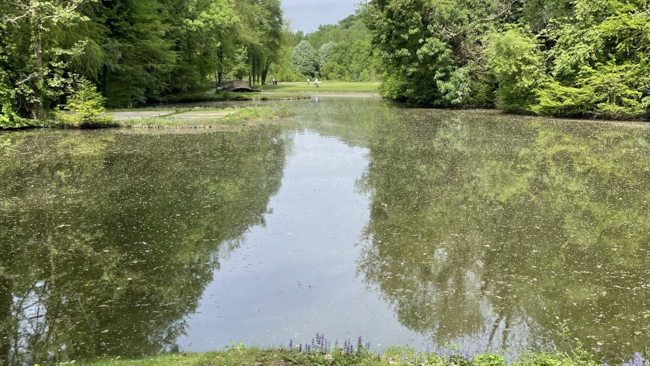 Golf Club Frassanelle