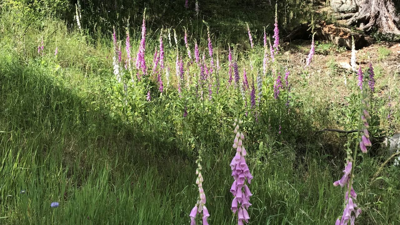 Golf & Spa Resort Cihelny