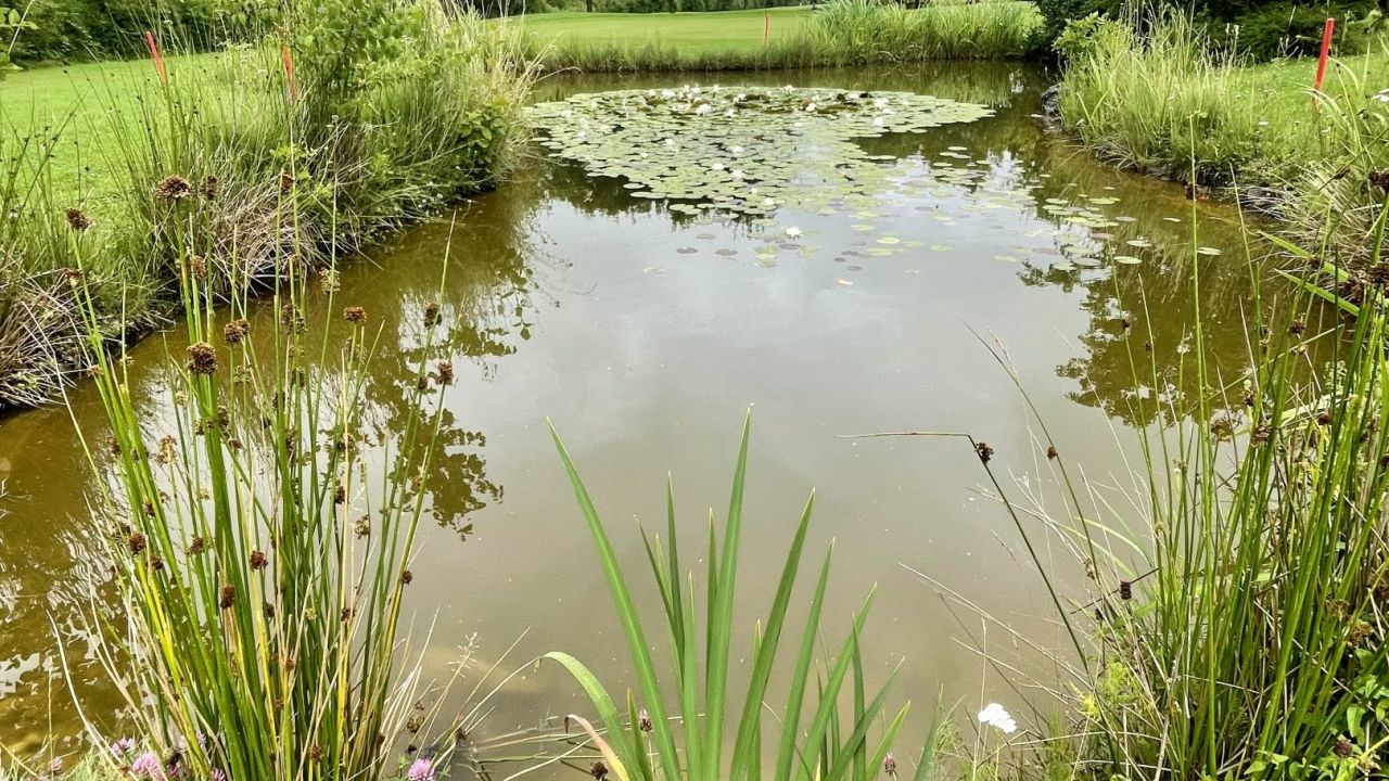 Golfclub Kitzingen e.V.