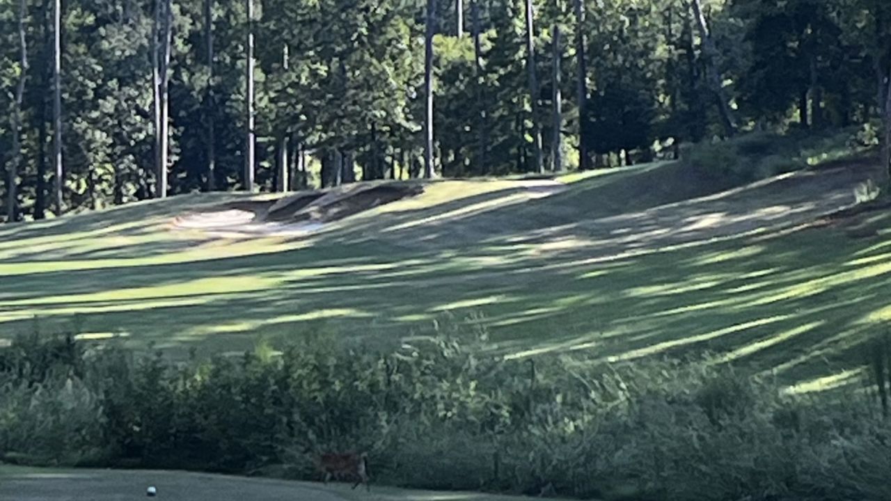 The Preserve at Jordan Lake Golf Club
