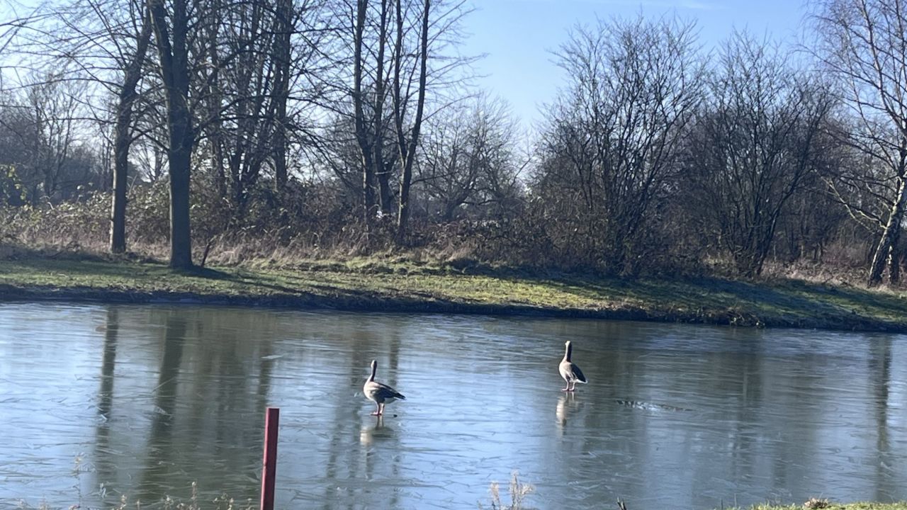 GCC Elfrather Mühle