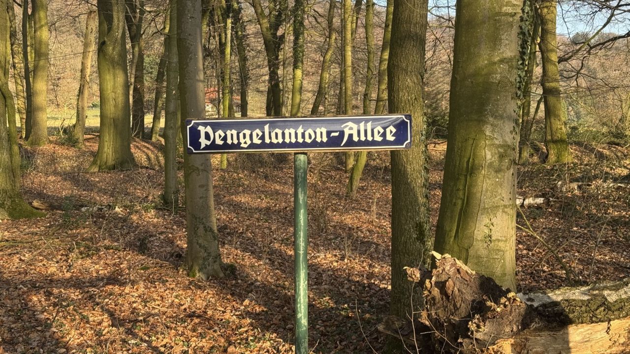 GC Tecklenburger Land