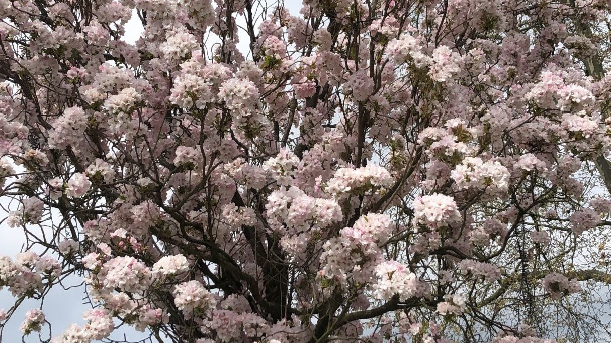 Golf & Country Club Velderhof