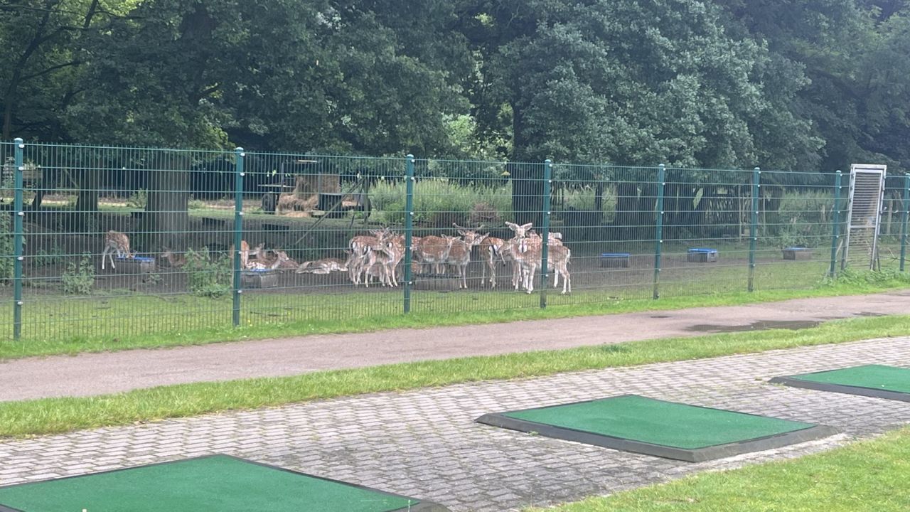 Golfpark Rittergut Birkhof