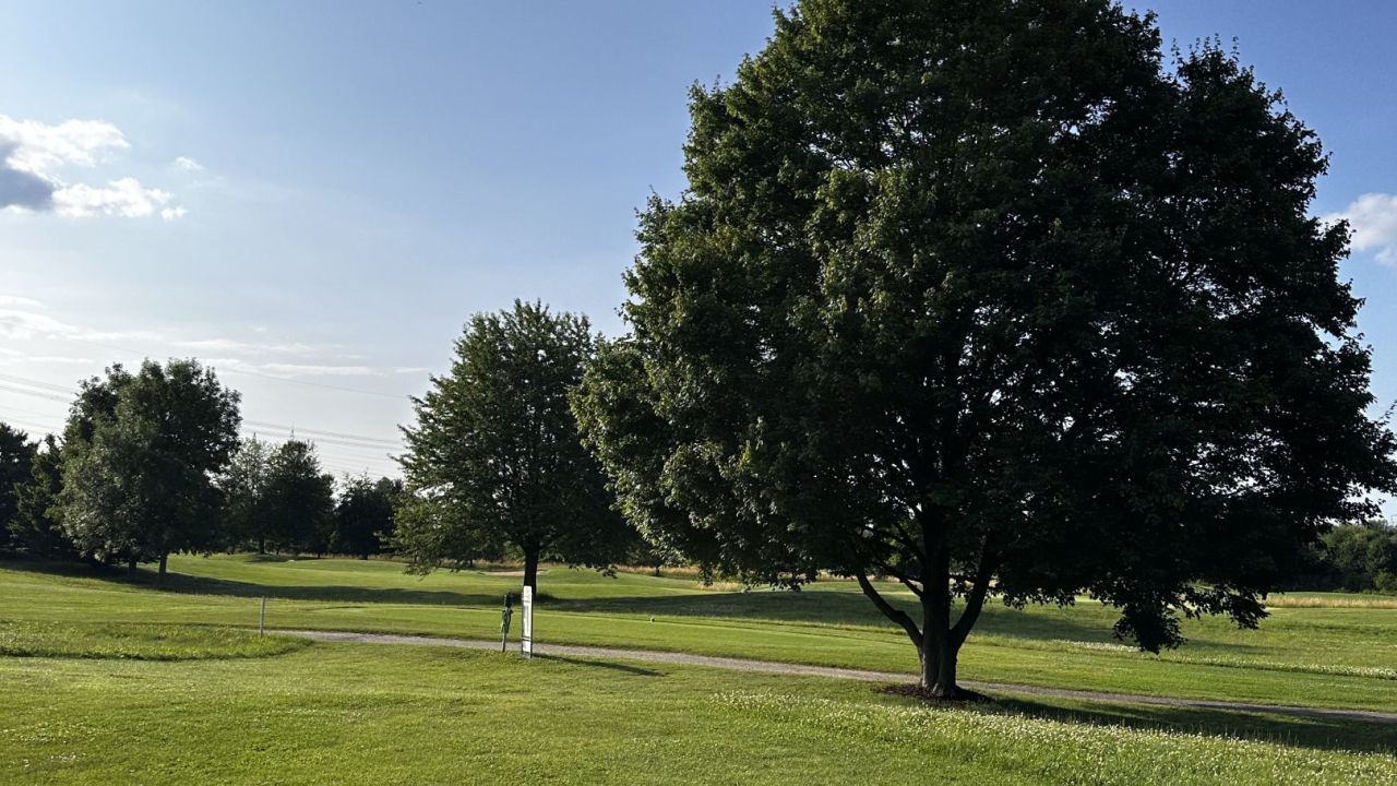 GC Heddesheim Gut Neuzenhof