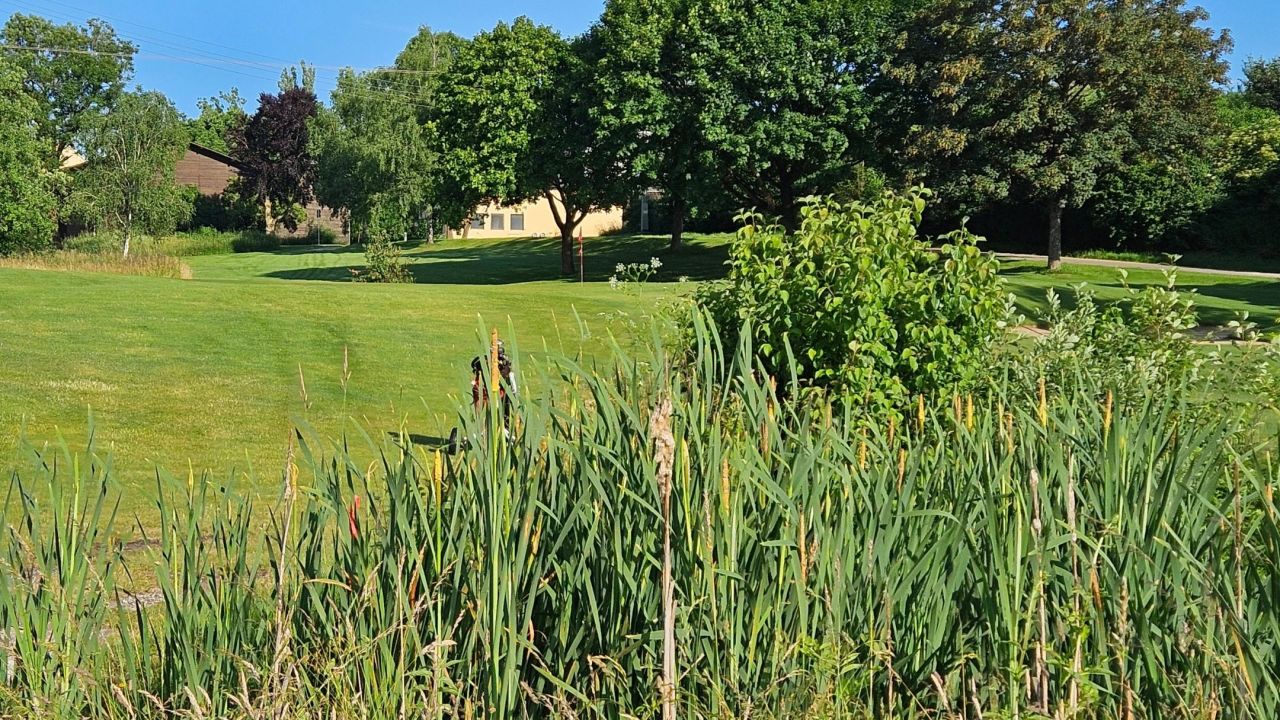 GC Donauwörth Gut Lederstatt