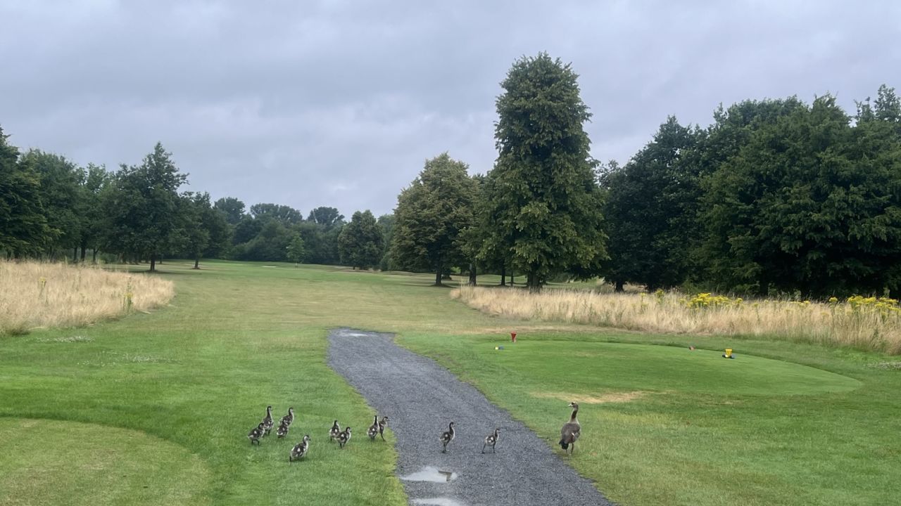 GCC Elfrather Mühle