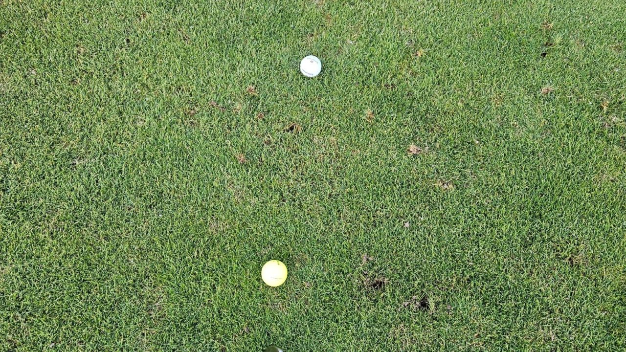 Golfclub zu Gut Ludwigsberg