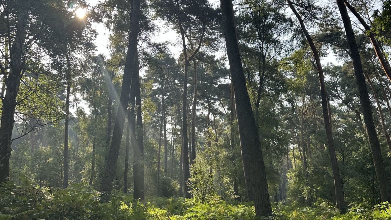 Land-GC Schloß Moyland