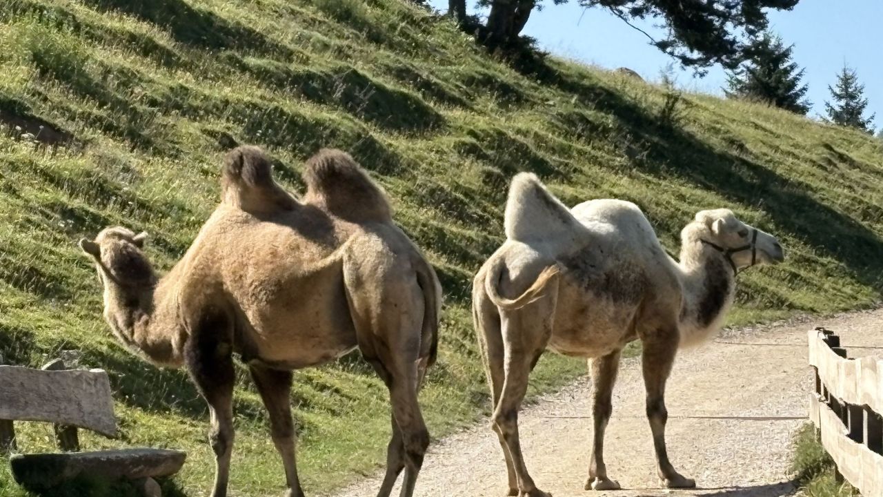 Golfclub St.Vigil Seis