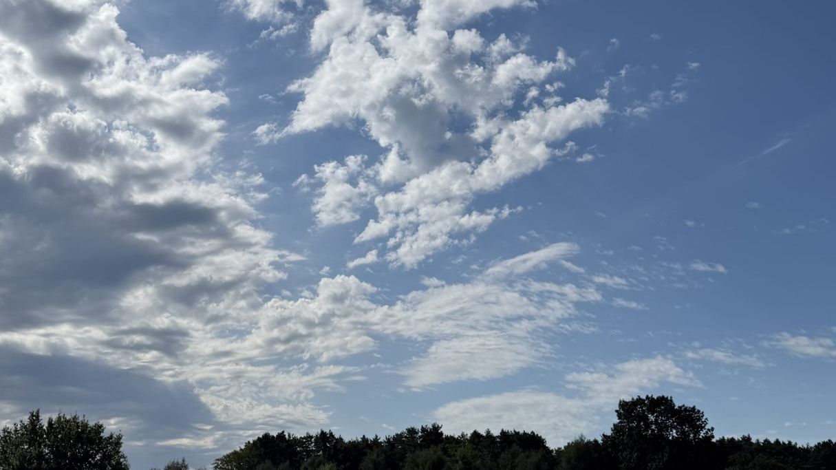 Green Eagle Golf Courses