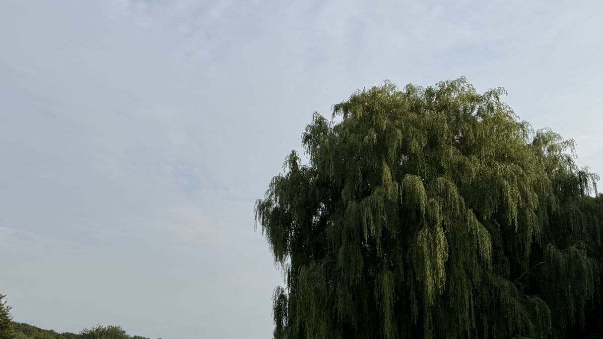 Golfresort Strandgrün Timmendorfer Strand