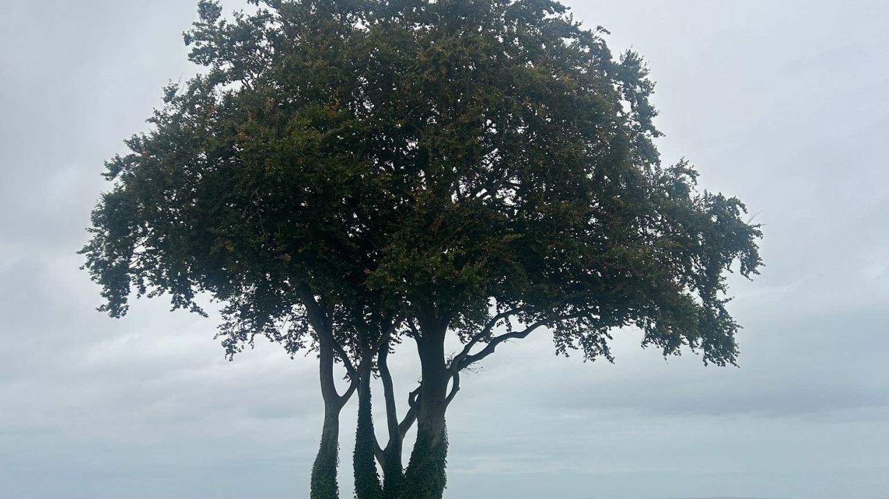 Deer Park Hotel & Golf Clubs