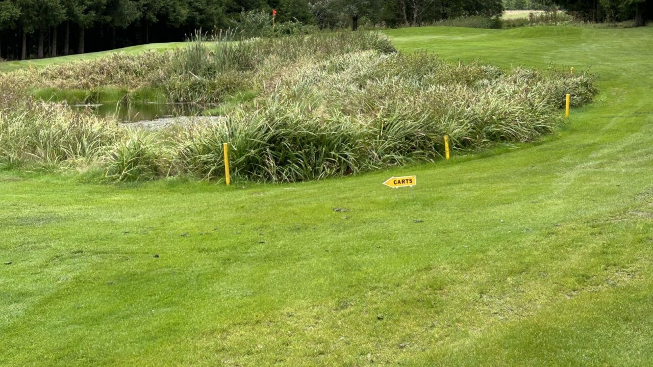 GC am Nationalpark Bayerischer Wald