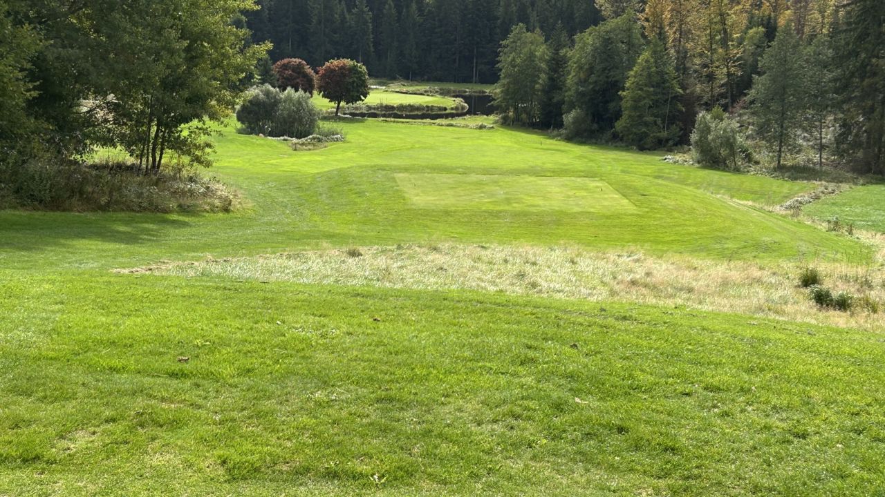 GC am Nationalpark Bayerischer Wald