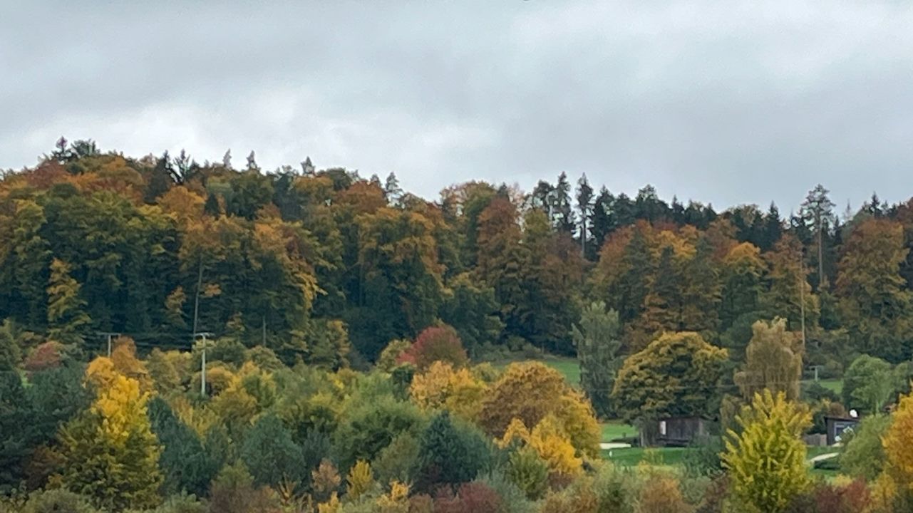 GC Gerhelm Nürnberger Land