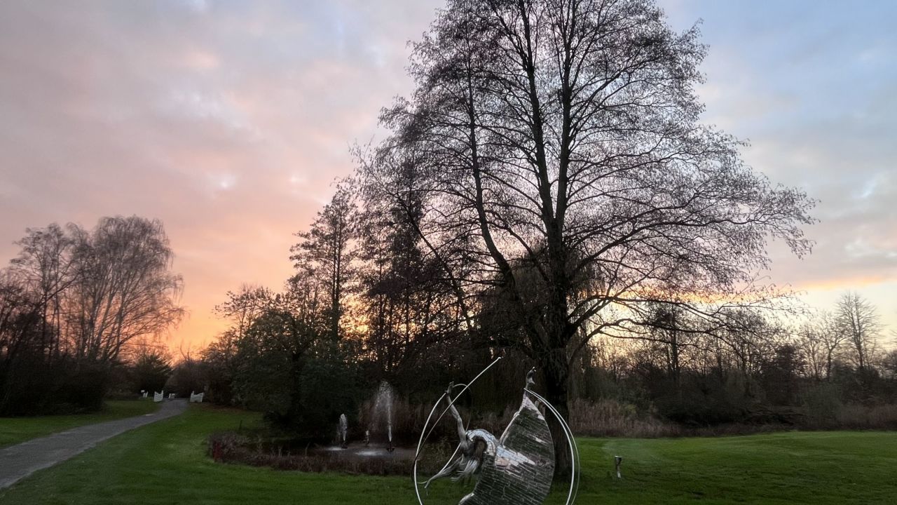 GCC Elfrather Mühle