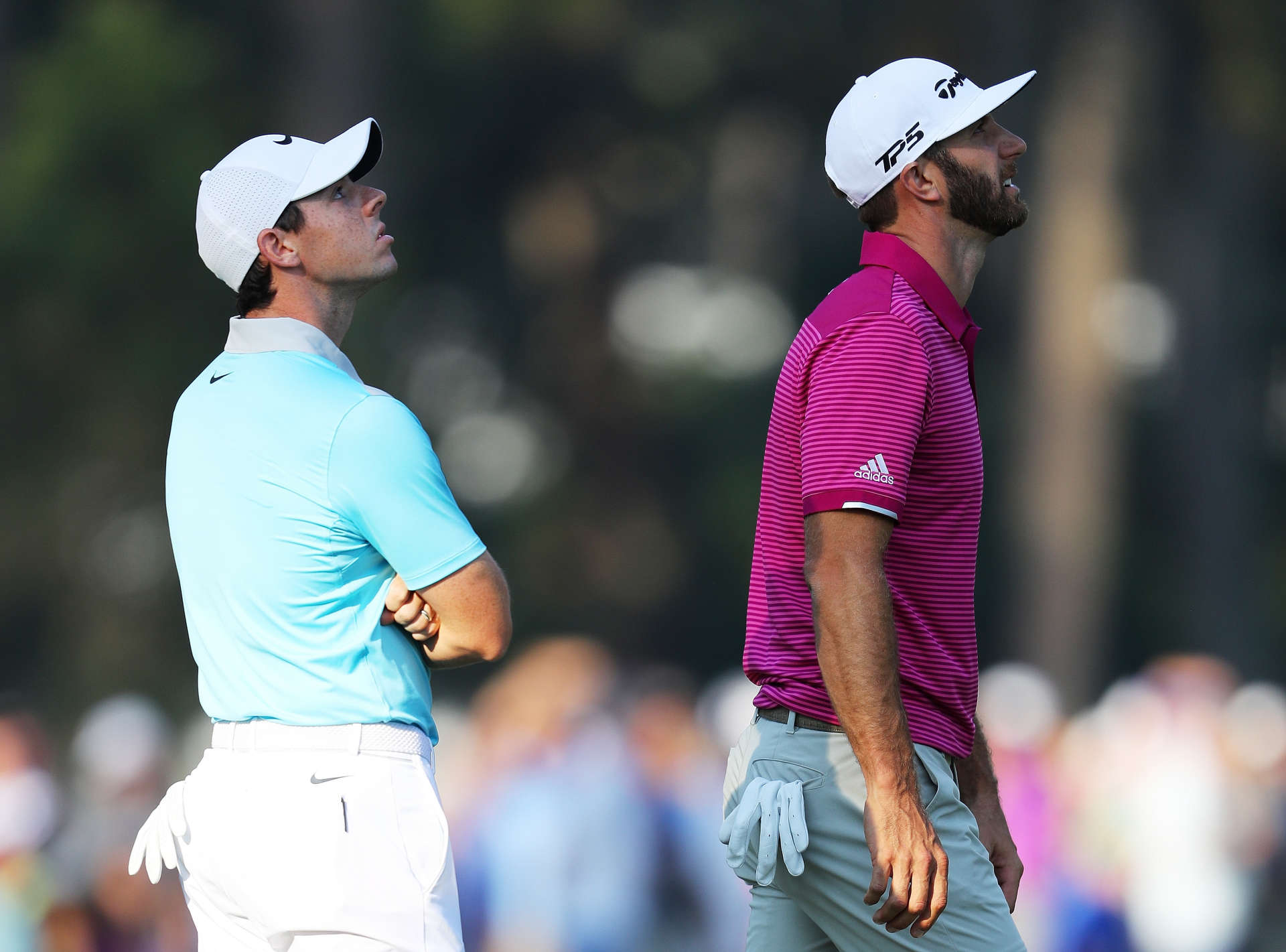 Ein Bild für die Götter. Bei der THE PLAYERS Championship 2017 starren Dustin Johnson und Rory McIlroy an Loch 10 des TPC Sawgrass in die Luft.