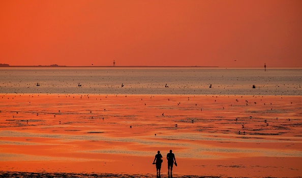 Wattwandern ist ein einzigartiges Erlebnis. (Foto: Getty)