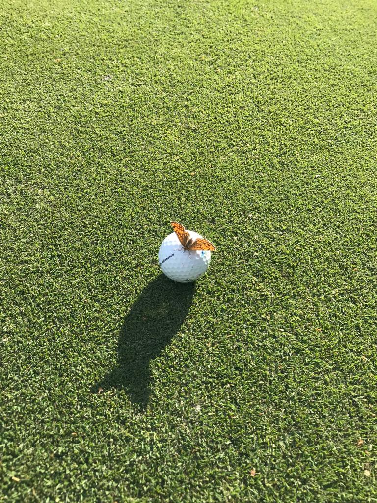 Wenn alles anders ist ...