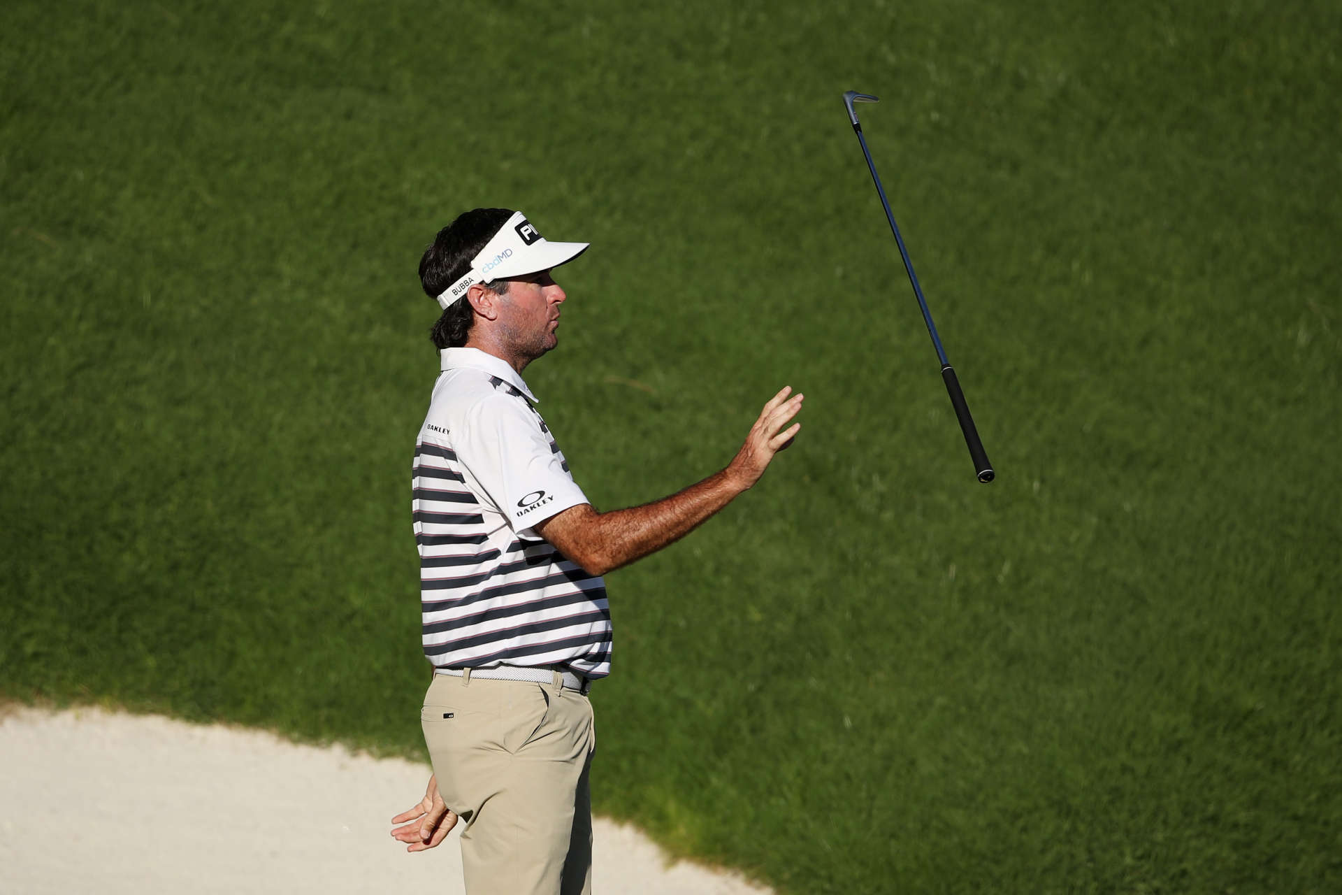 Bubba WatsonNice performance @CJ Cup. Two week ahead of his 42nd birthday, he might show his qualities once again.