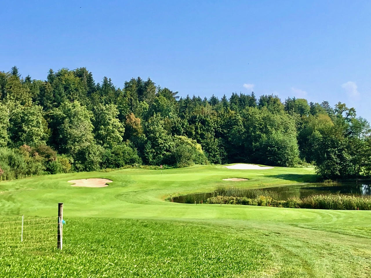 Gut geschütztes Grün der 16. Bahn des Woodside Courses (Foto: Linnenbürger)