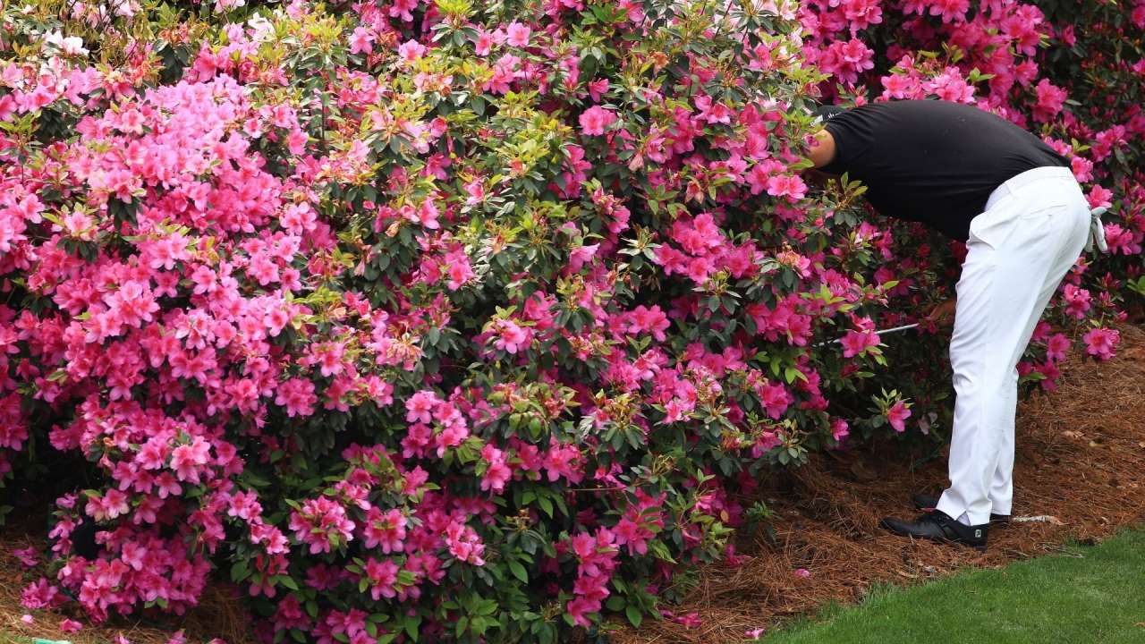 Schummeln auf dem Golfplatz: Die Tricks und Kniffe der "Cheater" Schummeln auf dem Golfplatz: Die Tricks und Kniffe der "Cheater"