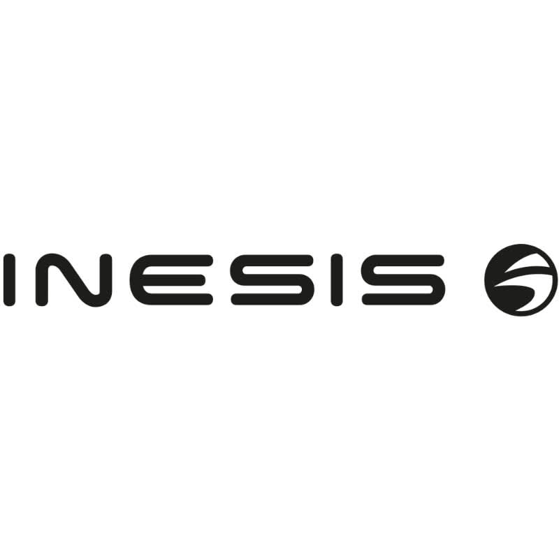 Inesis