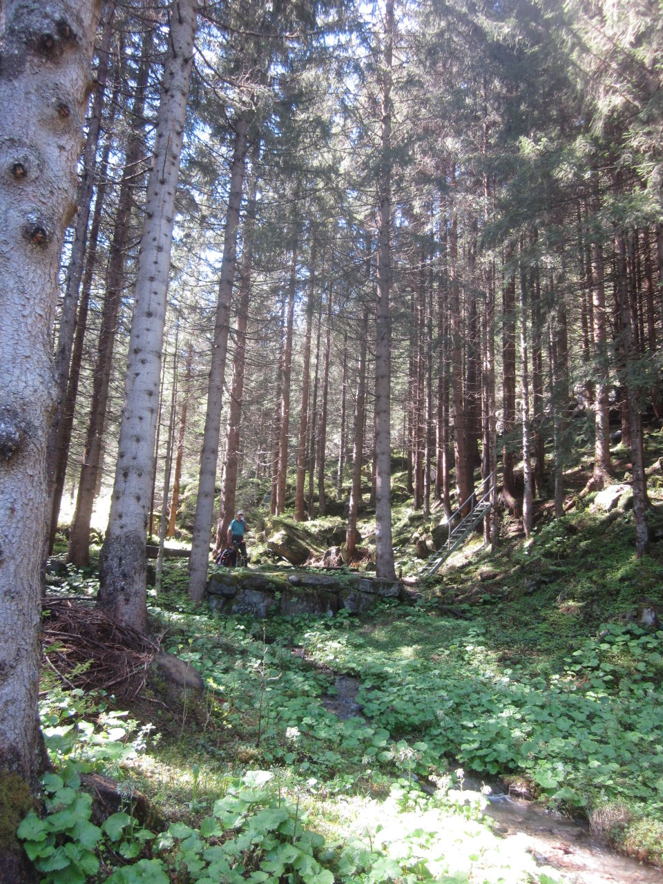 Wenn alle Wege nicht nach Rom führen, dann ins Montafon.