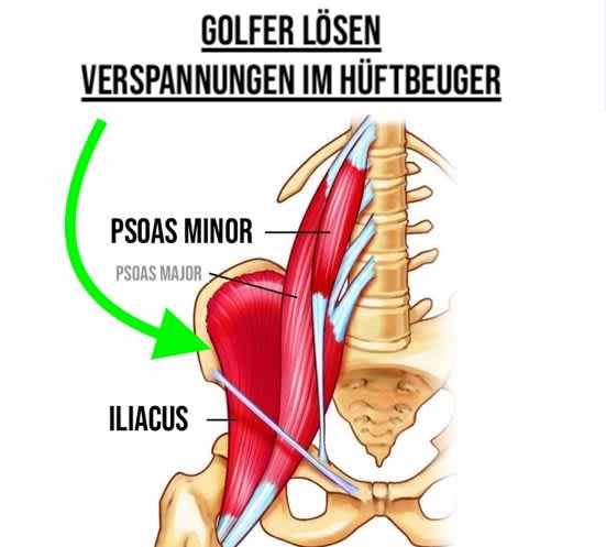 [NEU] Golf Fitness Workout für den Winter (Live über Zoom & Videos)