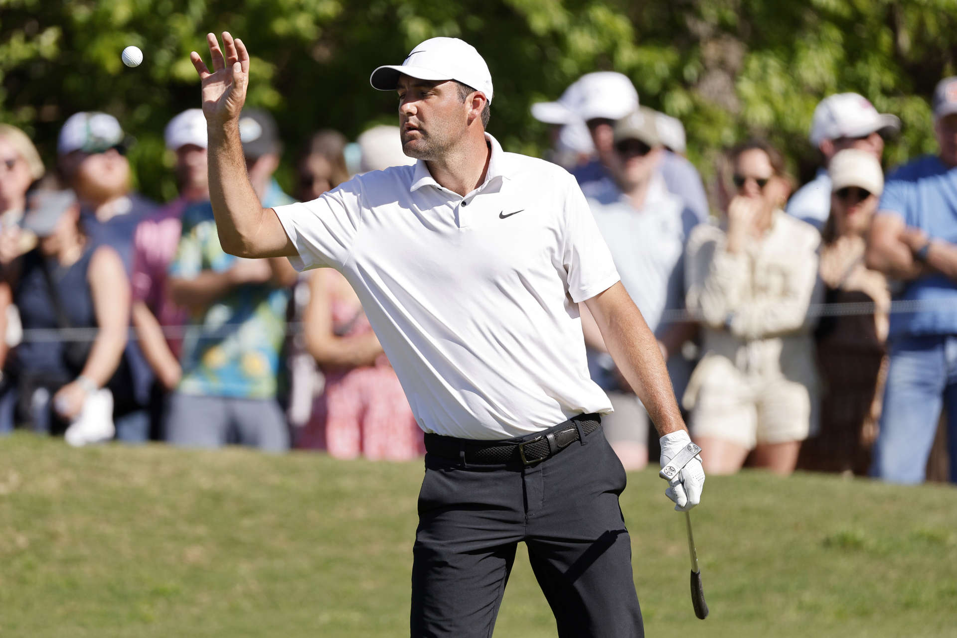 AUSTIN, TEXAS - MARCH 25: Scottie Scheffler of the United States catches his ball on the 16th green during day four of the World Golf Championships-Dell Technologies Match Play at Austin Country Club on March 25, 2023 in Austin, Texas. (Photo by Mike Mulholland/Getty Images)
