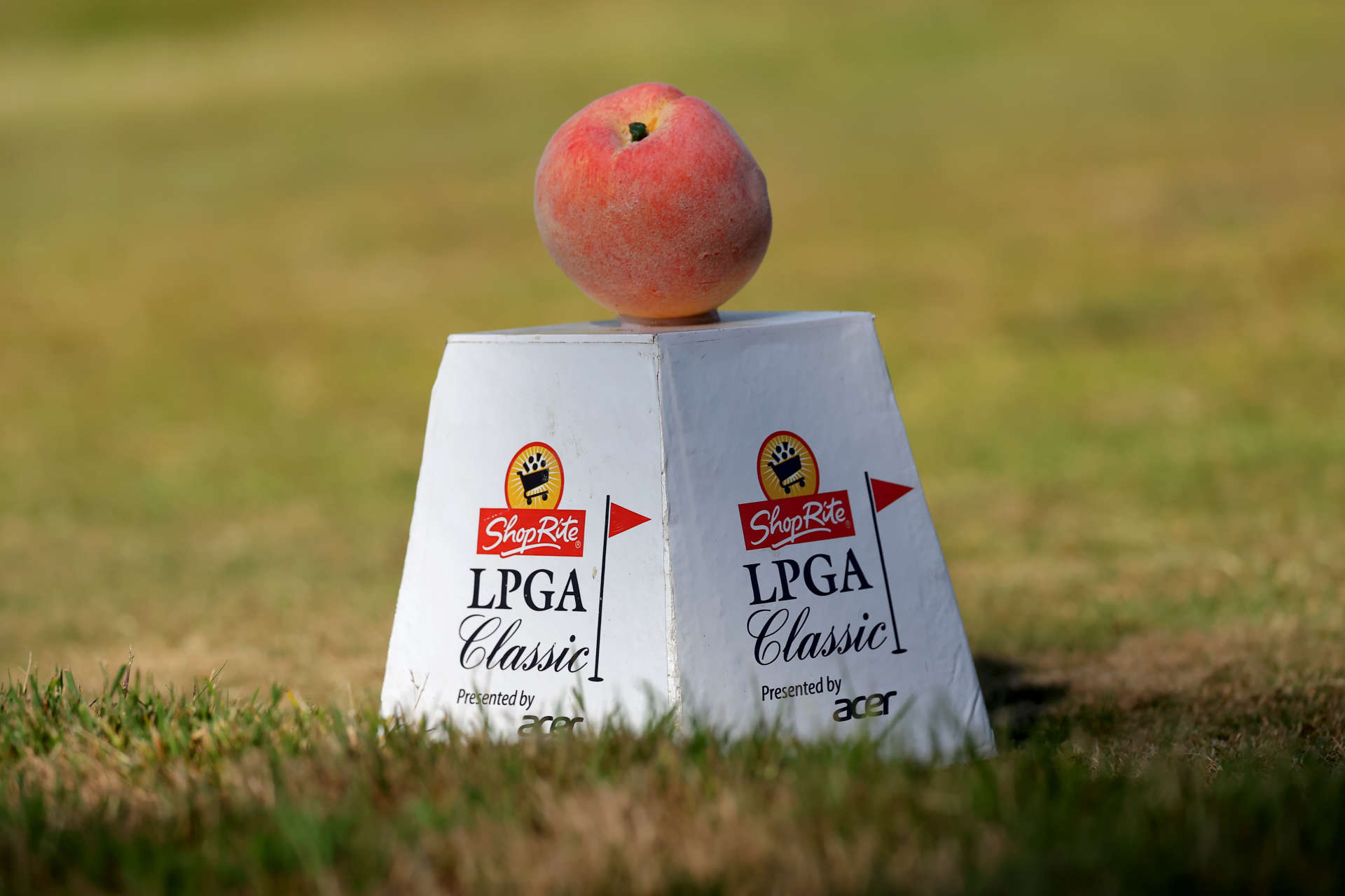 GALLOWAY, NEW JERSEY - JUNE 07: A detailed view of a tee mark on the eighth tee during the first round of the ShopRite LPGA Classic Presented by Acer at Seaview Bay Course on June 07, 2024 in Galloway, New Jersey. (Photo by Hunter Martin/Getty Images)