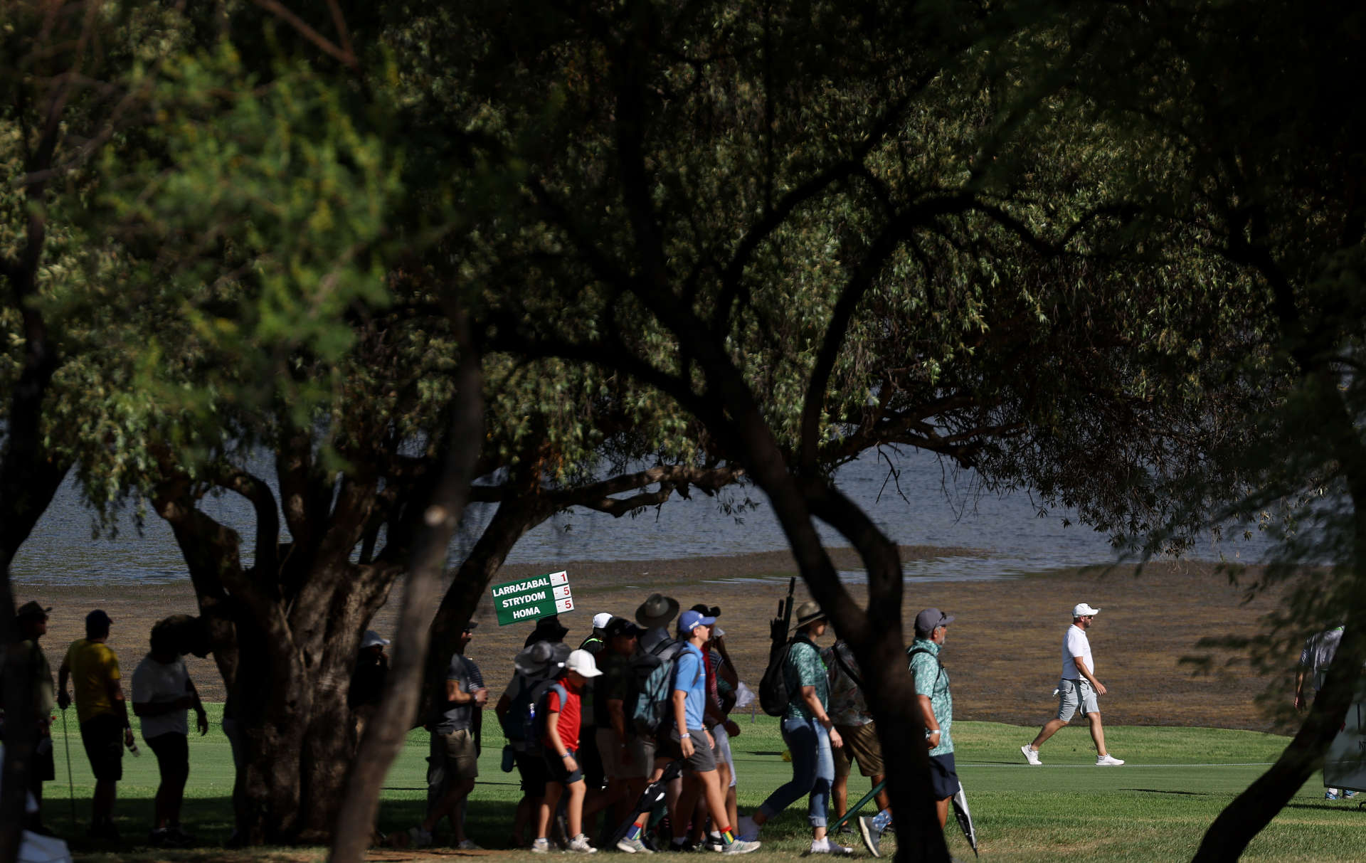European Tour: Nedbank Golf Challenge Round 2 - Best Pictures